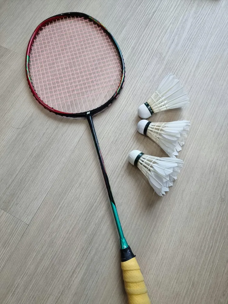 badminton (3)