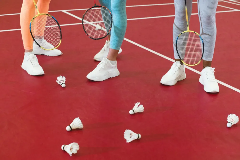 Courts de badminton à La Chaussée-Saint-Victor